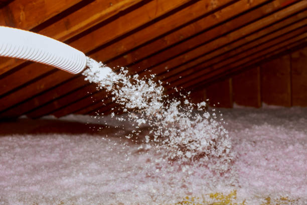Best Eco-Friendly Insulation in Cedar Glen Lakes, NJ
