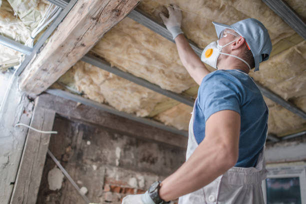 Best Blown-in Insulation in Cedar Glen Lakes, NJ